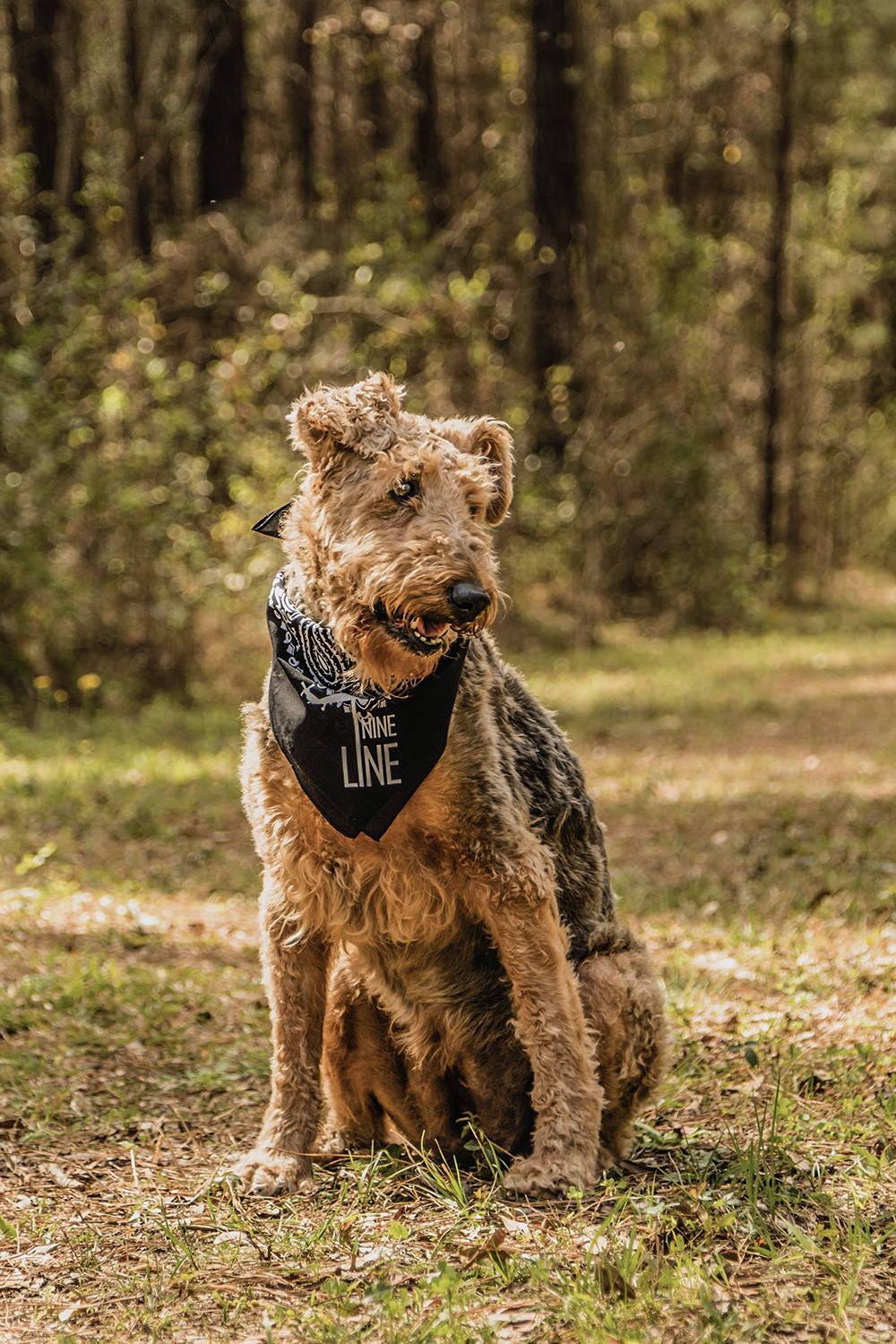 Drop Line Dog Bandana - Nine Line Apparel