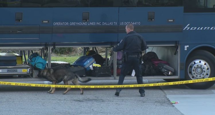 Heroic: Bus driver takes on armed shooter