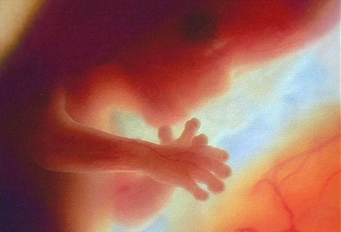 More than 2,400 fetal remains found in abortion doctor’s home - Nine Line Apparel
