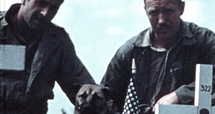 Newly-digitized Iwo Jima films reveal incredible battle details