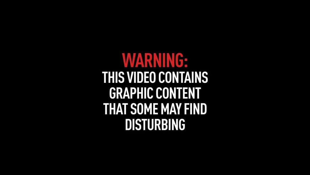 WATCH: Harrowing footage of hero K-9s shot by armed carjacker...