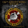 156th Air Wing - Nine Line Apparel