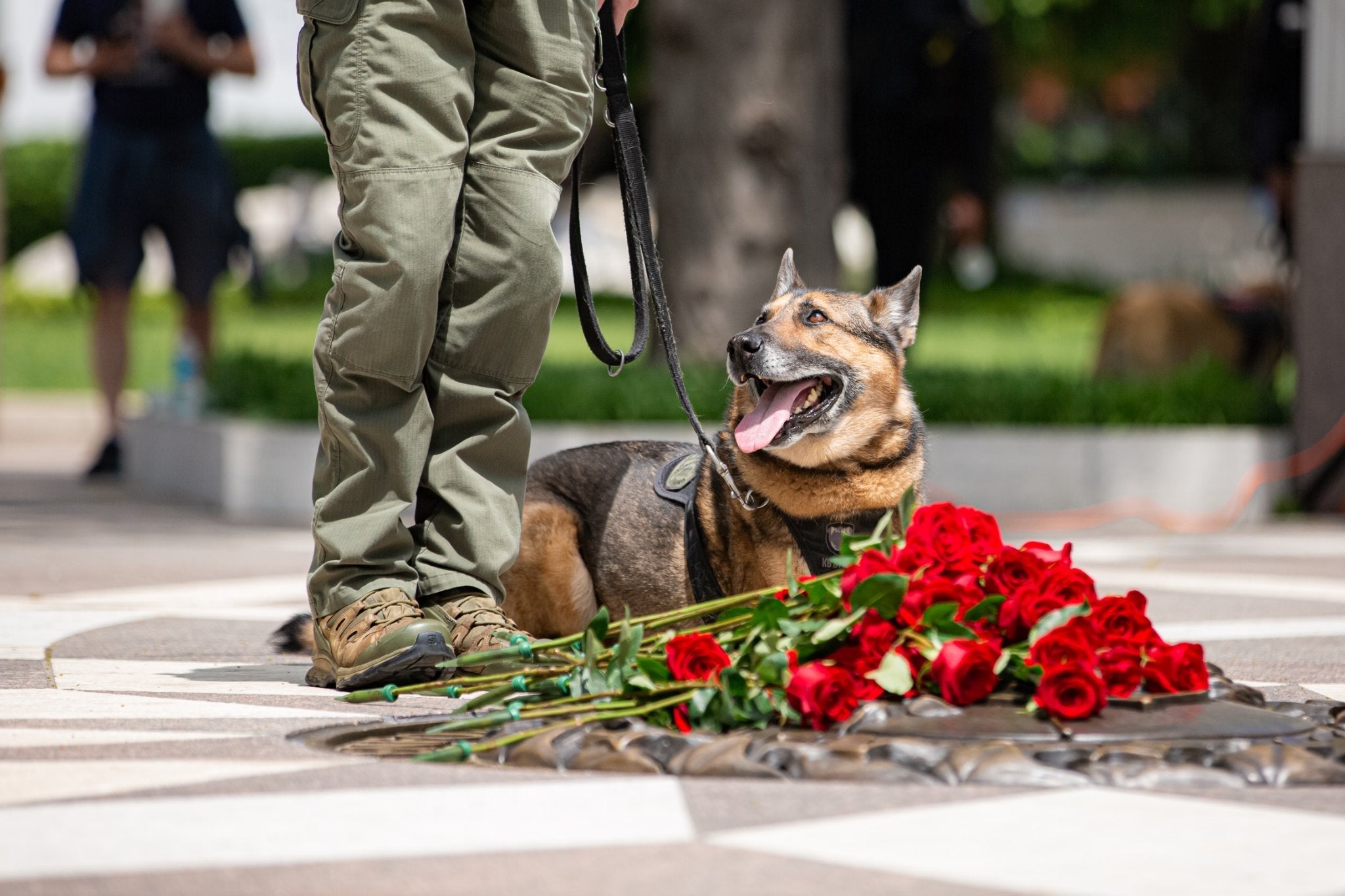 National Police Dog Foundation