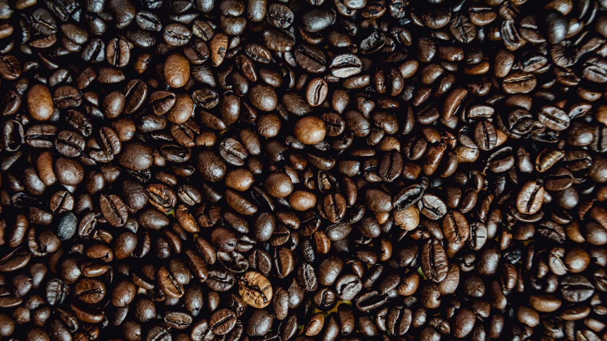 Coffee - Nine Line Apparel