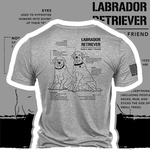 Labrador Schematic