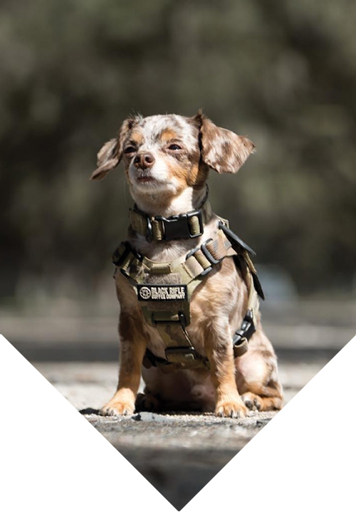 Tactical Taz