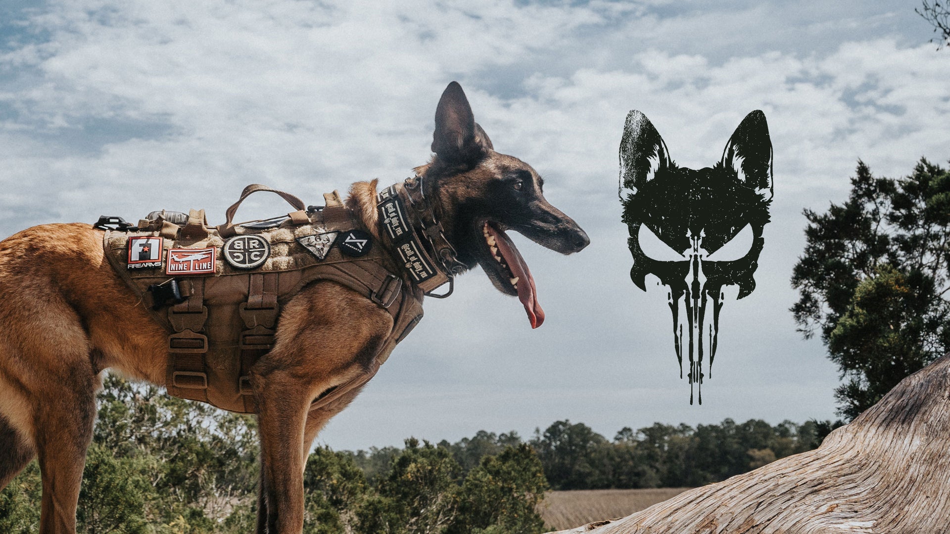 Call Of Duty Rex – Nine Line Apparel