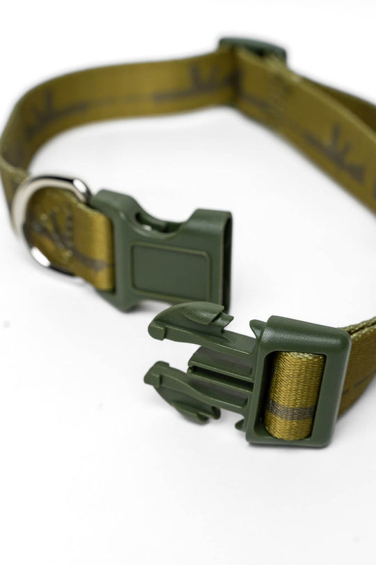 AR Dog Collar