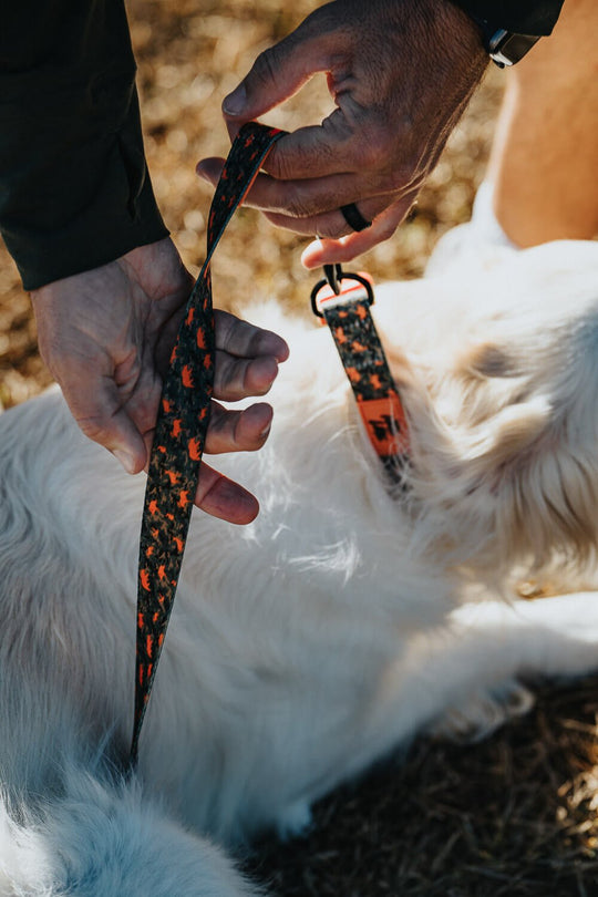 Camo Dog Leash