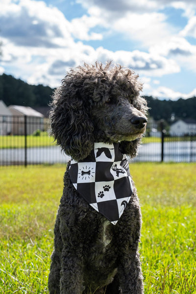 K9 Bandanas