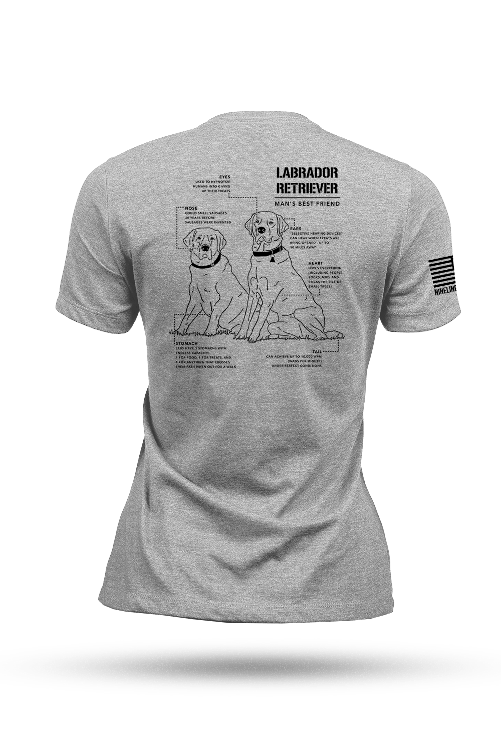 Labrador Schematic - Women's T-Shirt