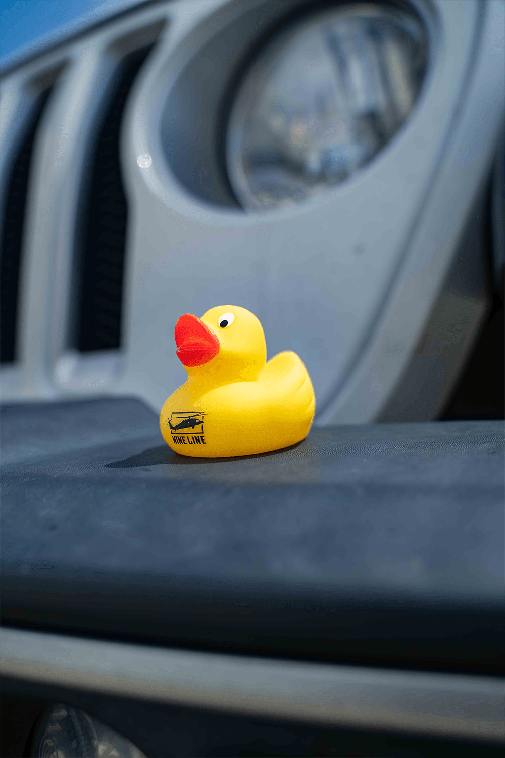 Nine Line Rubber Ducks