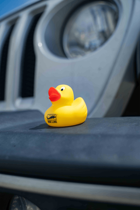 Nine Line Rubber Ducks