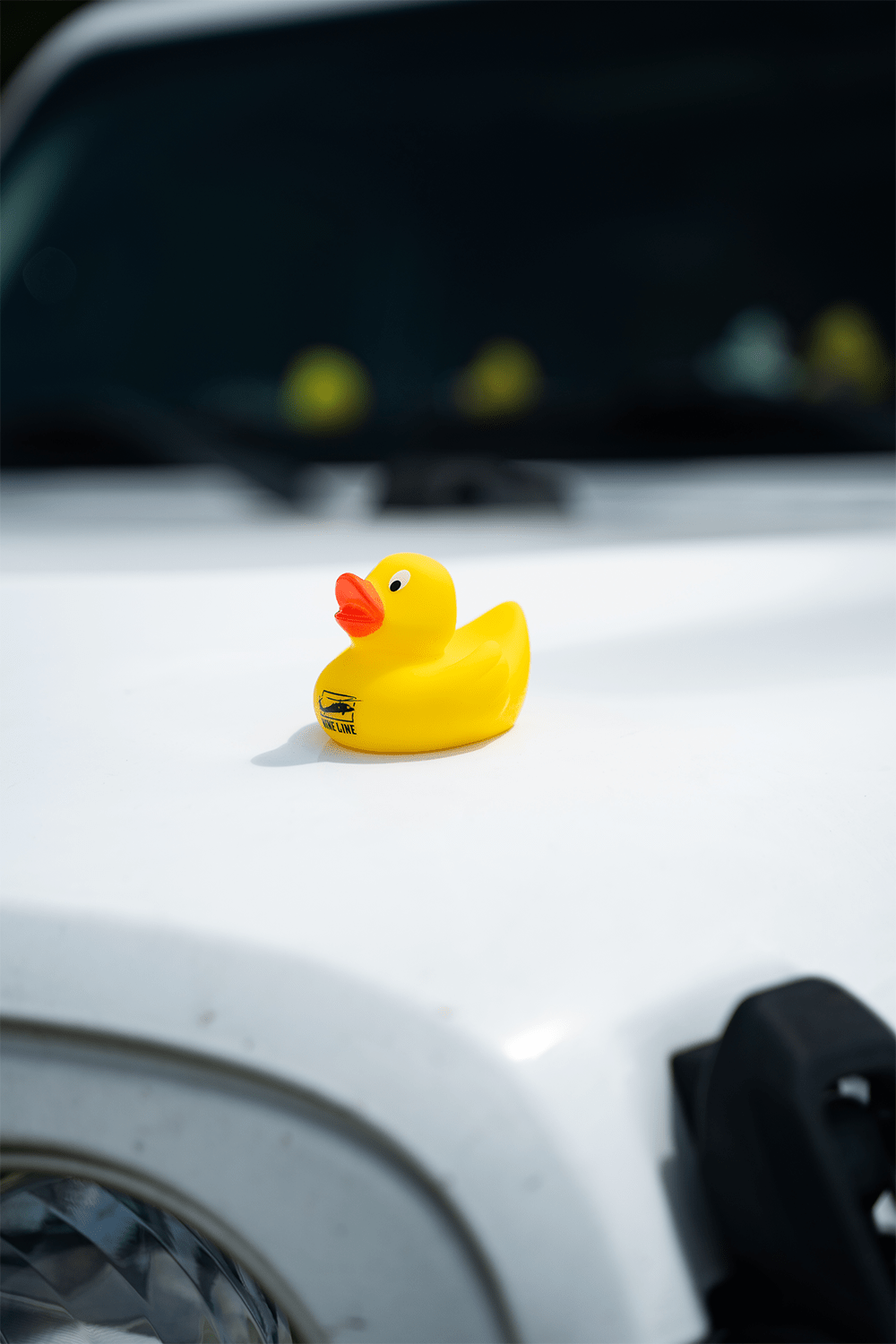 Nine Line Rubber Ducks