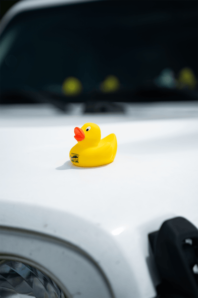 Nine Line Rubber Ducks
