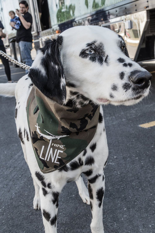 Drop Line Dog Bandana - Nine Line Apparel