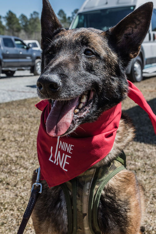 Drop Line Dog Bandana - Nine Line Apparel