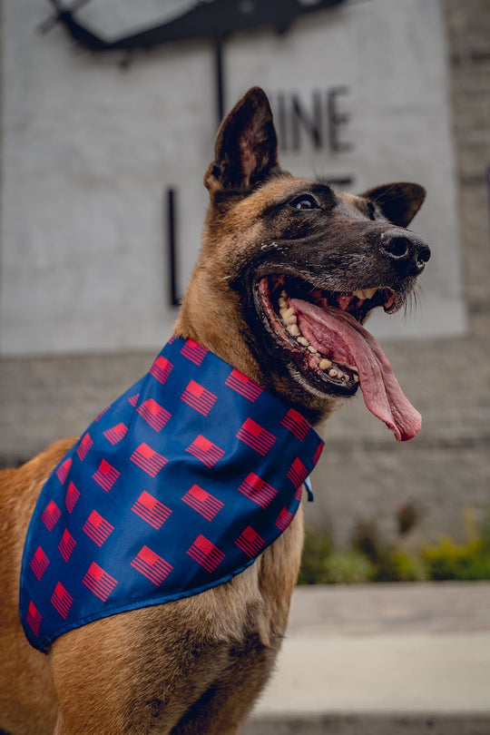 K9 Bandanas - Nine Line Apparel