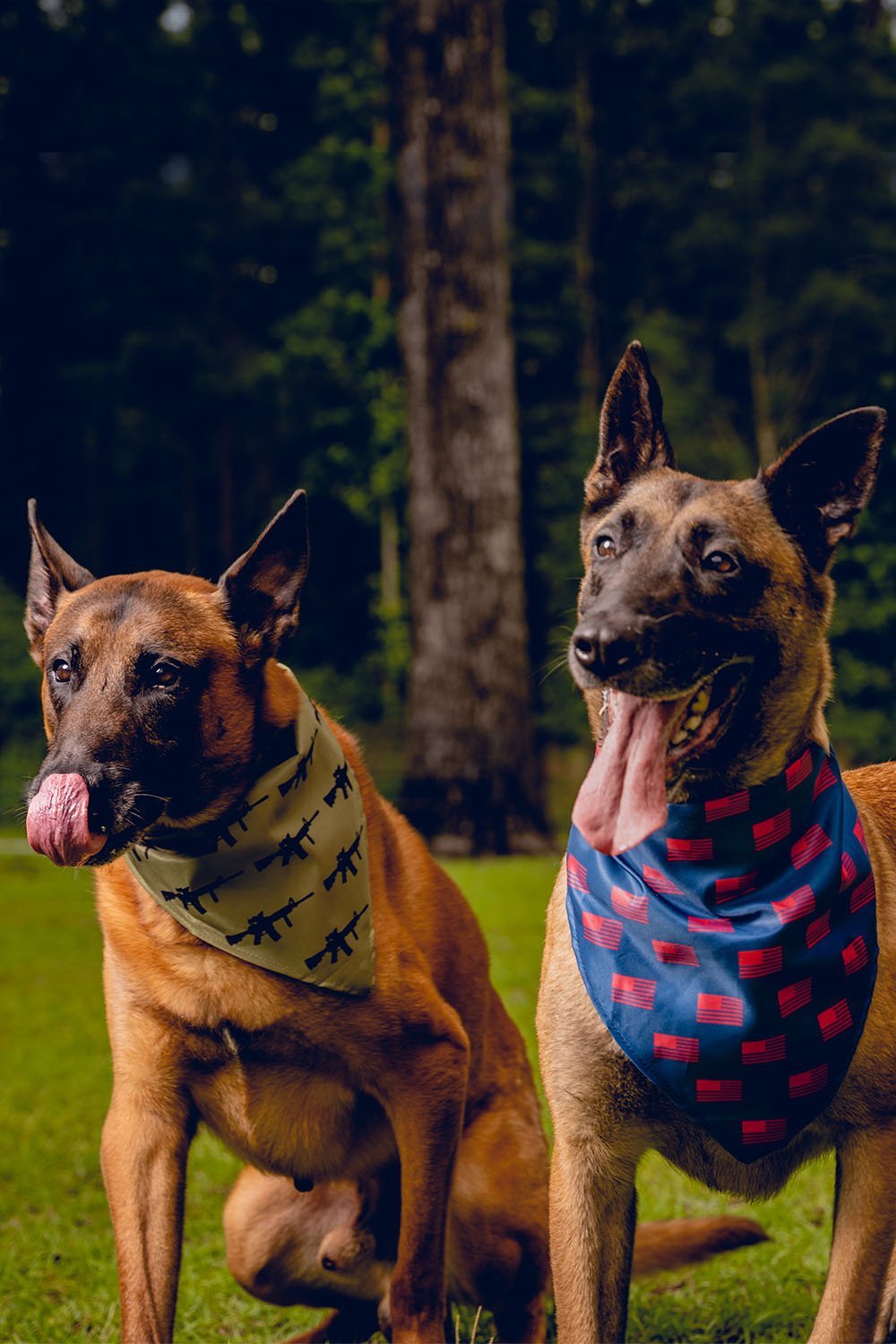 K9 Bandanas - Nine Line Apparel