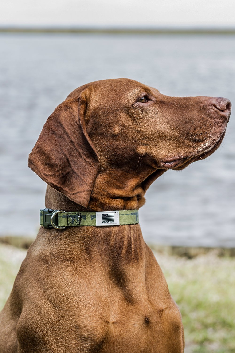 Nine Line Dog Collar Collection - Nine Line Apparel